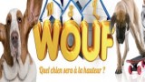 Wouf ! Quel chien sera à la hauteur: La Finale du 09 Mai 2015
