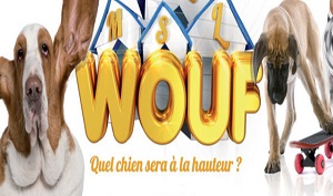 Wouf ! Quel chien sera à la hauteur: La Finale du 09 Mai 2015