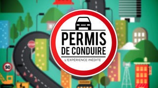 Permis de conduire – Spéciale célébrités, Replay du 05 Août 2015