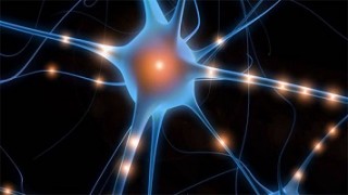 Les super-pouvoirs de notre cerveau, Vidéo du 16 Février 2016