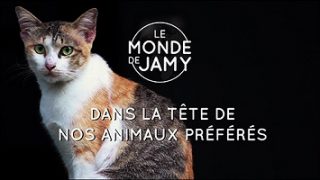 Dans la tête de nos animaux préférés, Le Monde de Jamy