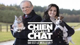 Chien contre Chat – qui est le meilleur ? Replay, Vidéo du 25 Décembre 2016