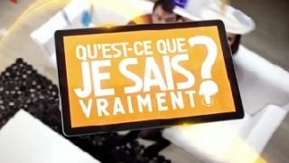 Qu’est-ce que je sais vraiment ? – Spéciale mémoire Replay du 20 Décembre 2016