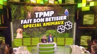 TPMP fait son bêtisier spécial animaux, Vidéo du 01 Février 2019